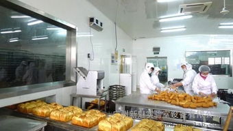 佛山食品车间装修指南 烘焙食品厂与饮料厂净化车间的高标准设计解析