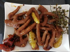 沈阳凤爪培训精选指南 赋能餐饮管理新风尚