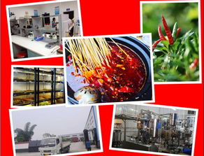 餐饮管理软件产品报价解析 如何选择高性价比的解决方案